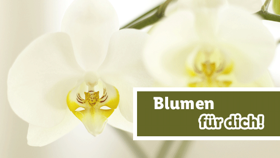 Blumen für dich