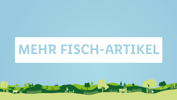 MEHR FISCH-ARTIKEL