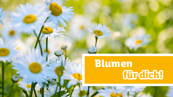 Blumen für dich