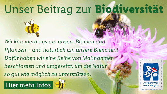 Biodiversität - Blumen und Pflanzen Positionspapier