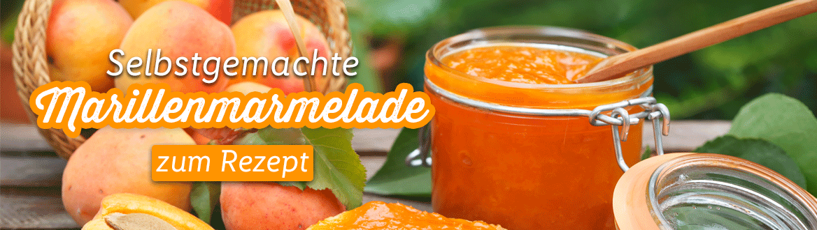 Marillenmarmelade selber machen