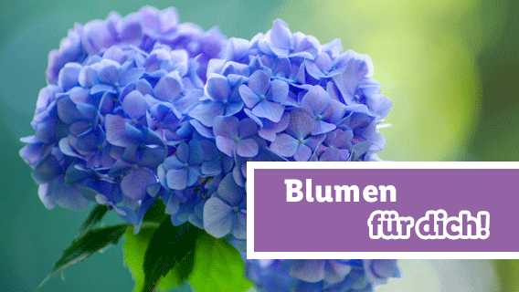 Blumen