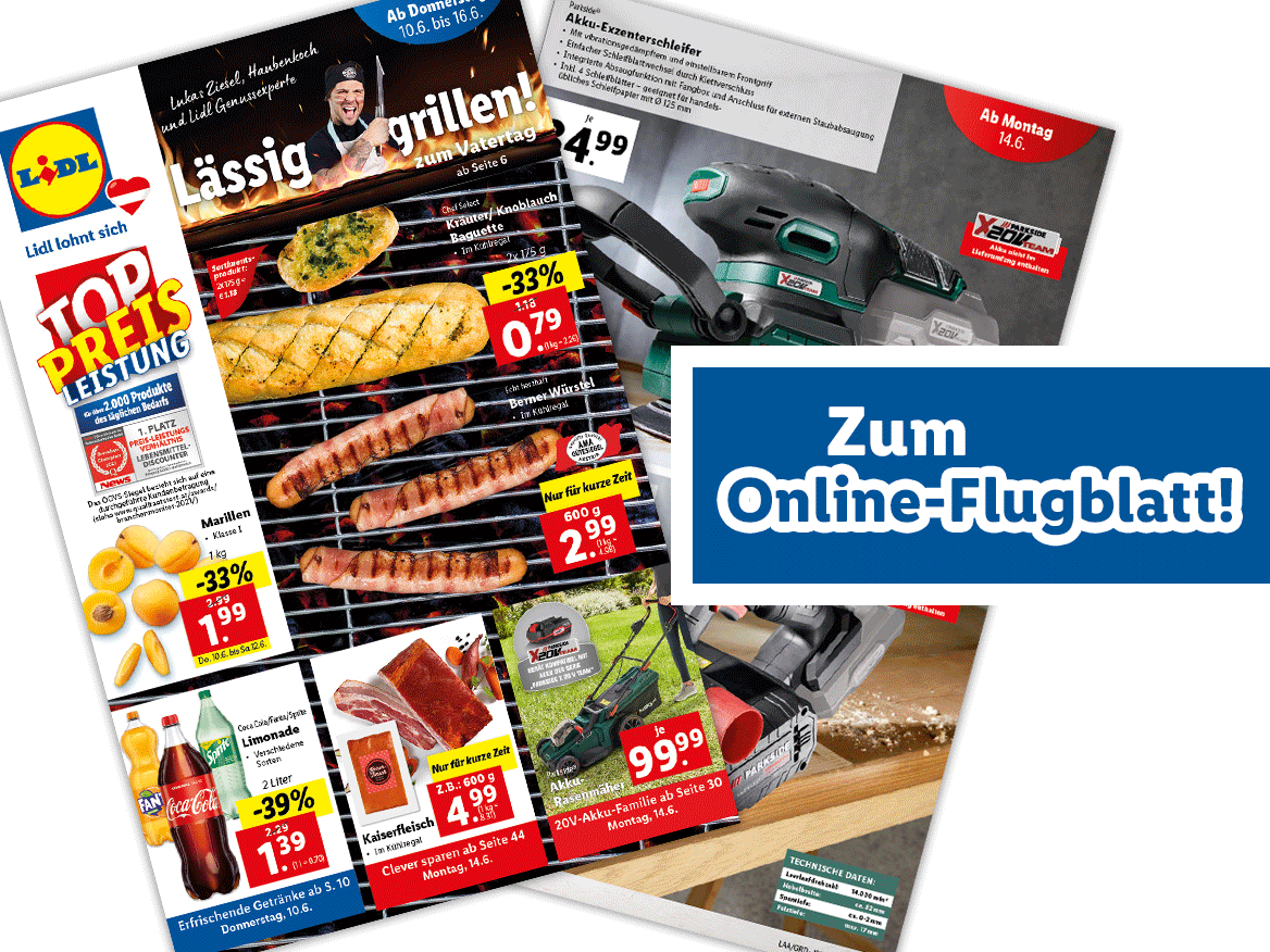 Online-Flugblatt