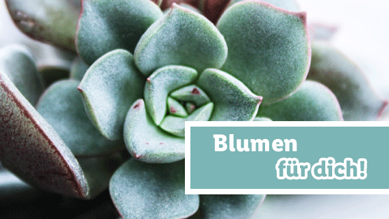 Blumen