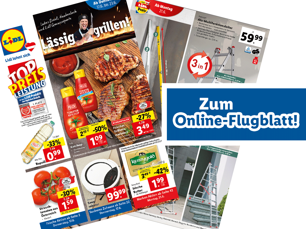 Online-Flugblatt