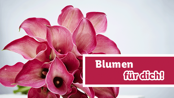 Blumen