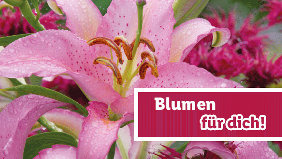 Blumen