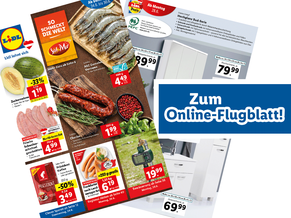 Online-Flugblatt