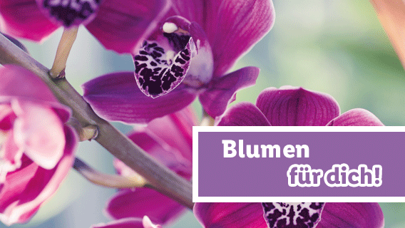 Blumen für dich