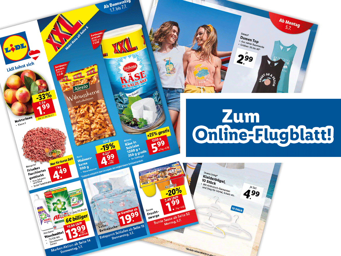 Online-Flugblatt