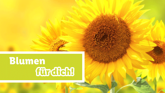 Blumen für dich