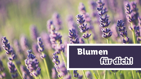 Blumen für dich