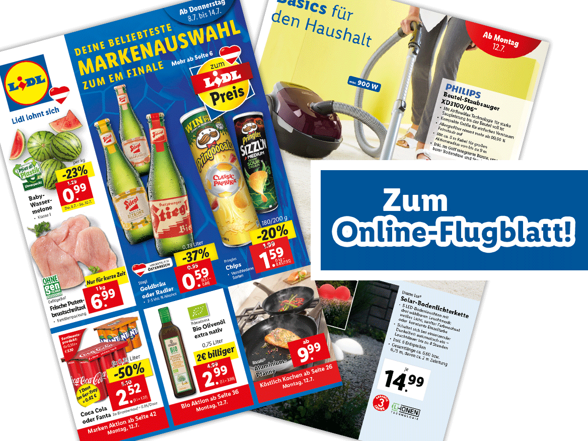 Online-Flugblatt