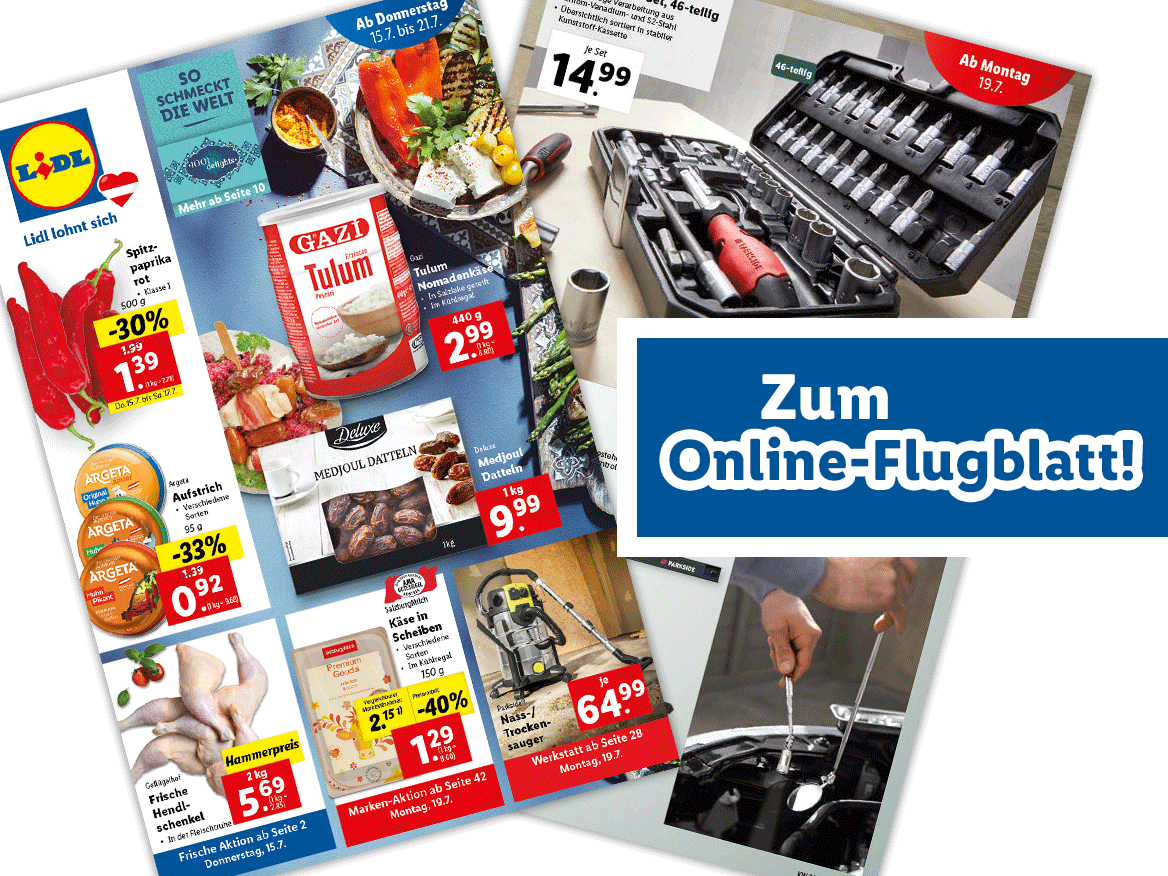 Online-Flugblatt