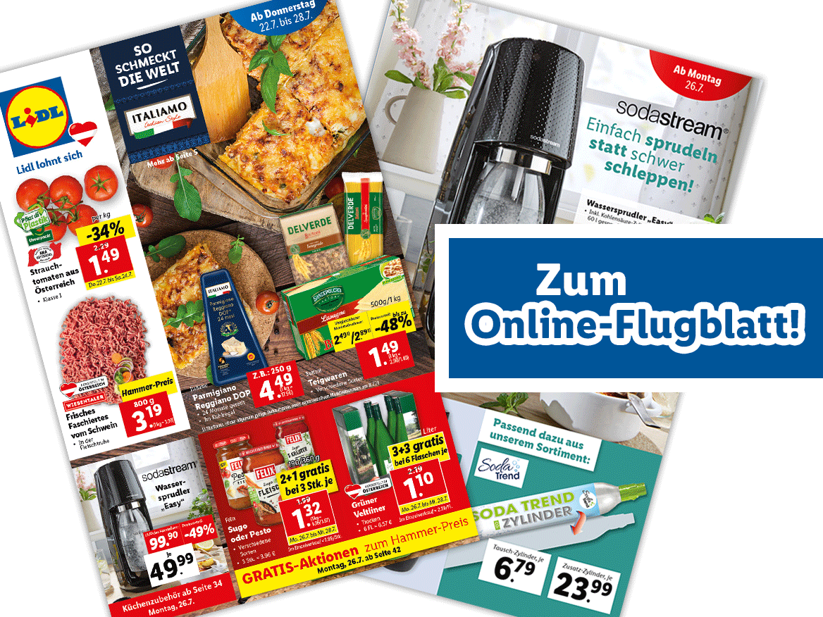Online-Flugblatt