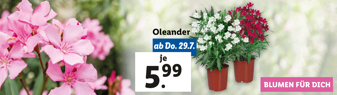 Blumen für dich