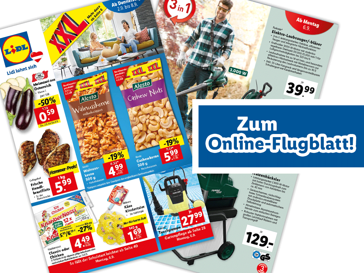 Online-Flugblatt
