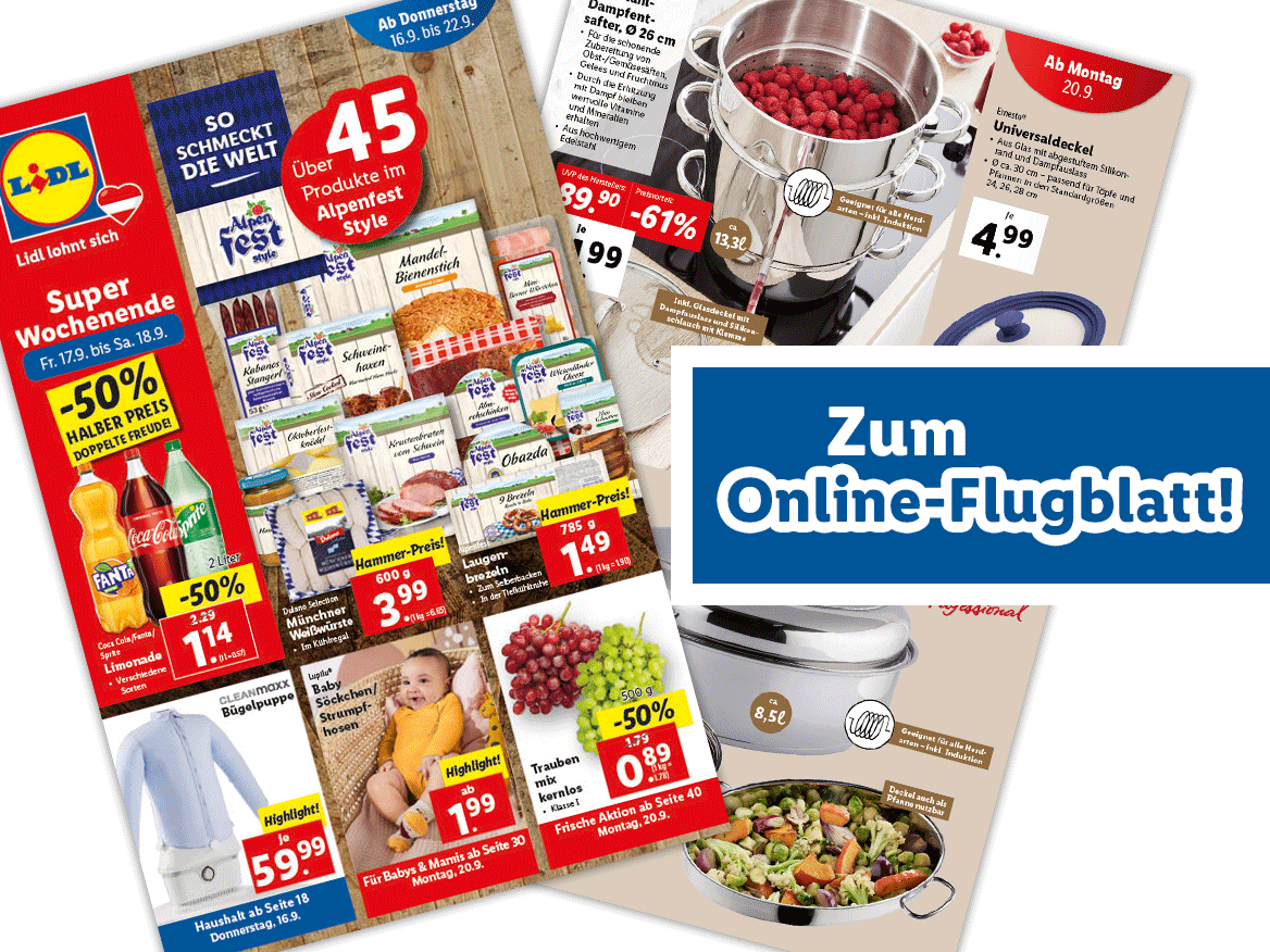 Online-Flugblatt