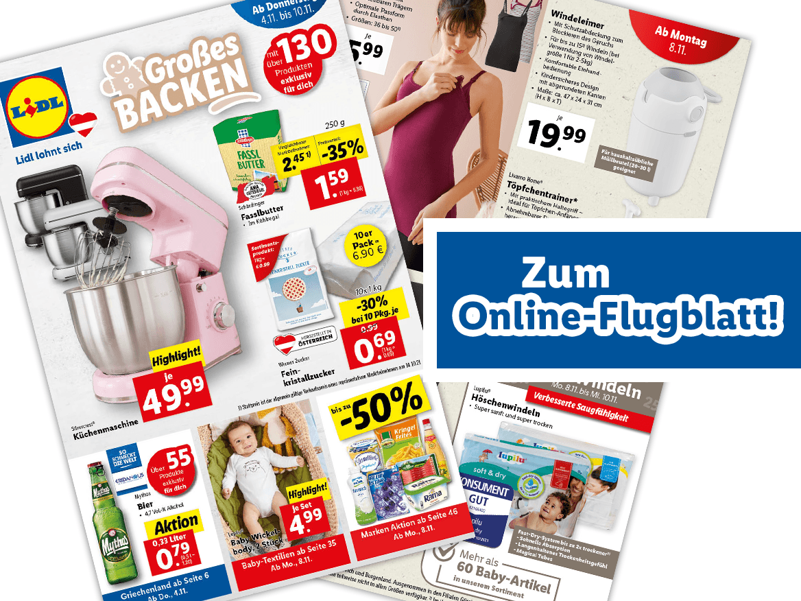 Online-Flugblatt