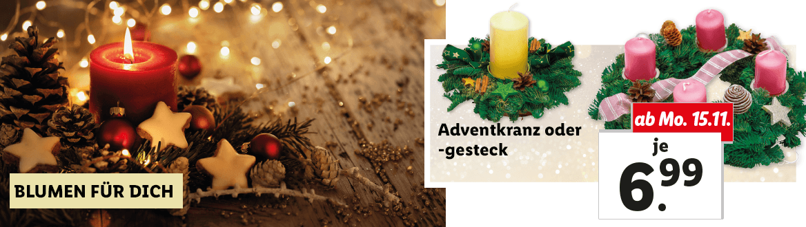 Blumen zum Lidl Preis