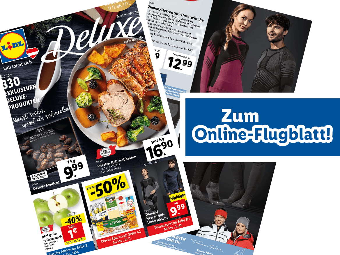 Online-Flugblatt
