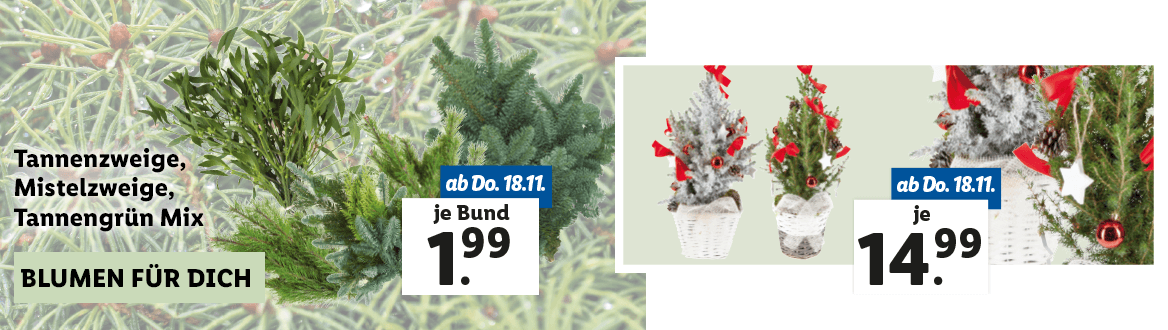 Blumen zum Lidl Preis