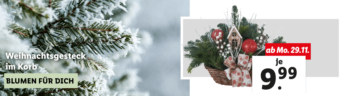 Blumen zum Lidl Preis
