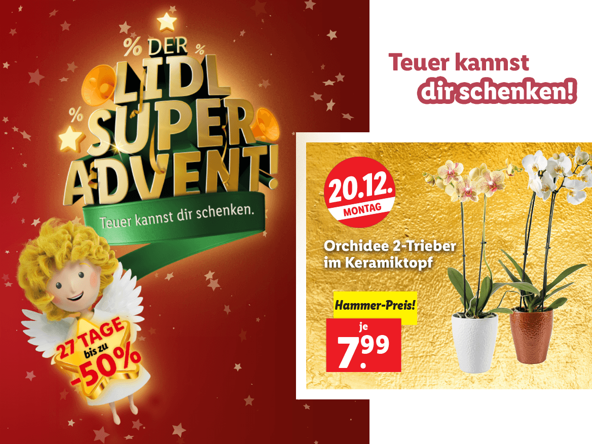 Adventkalender | Lidl.at  