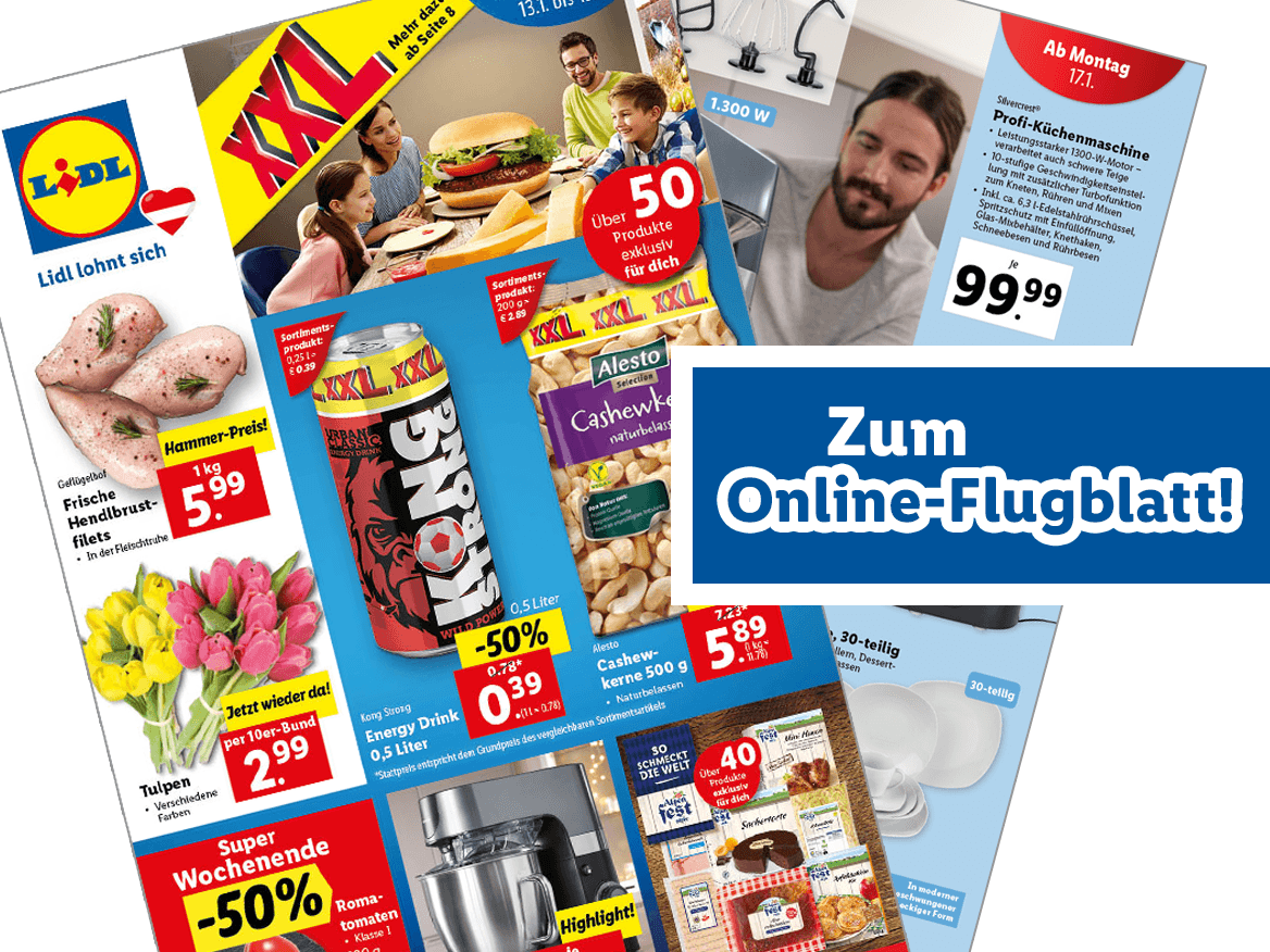 Online-Flugblatt