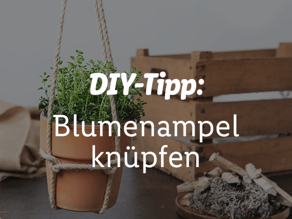 DIY Blumenampel
