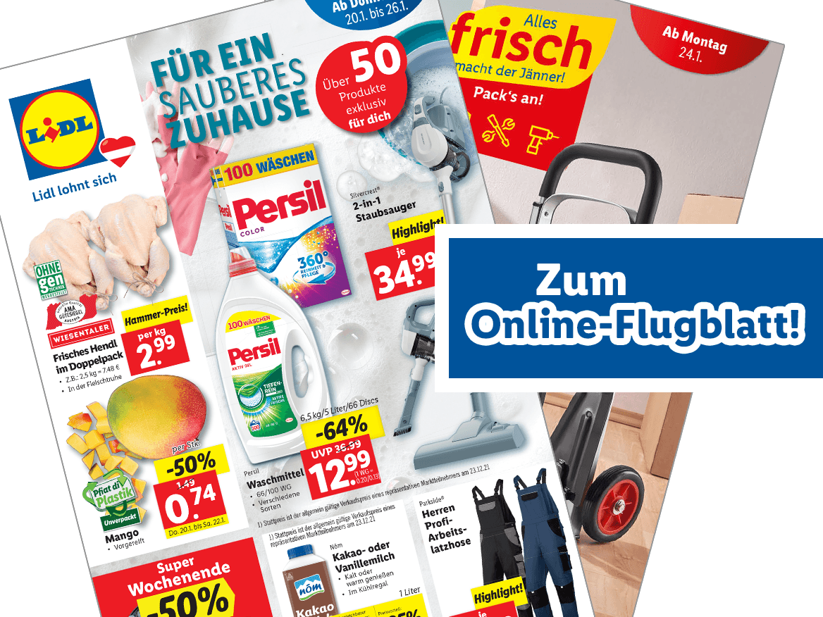 Online-Flugblatt