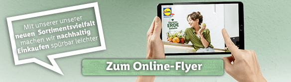 Frische Flyer
