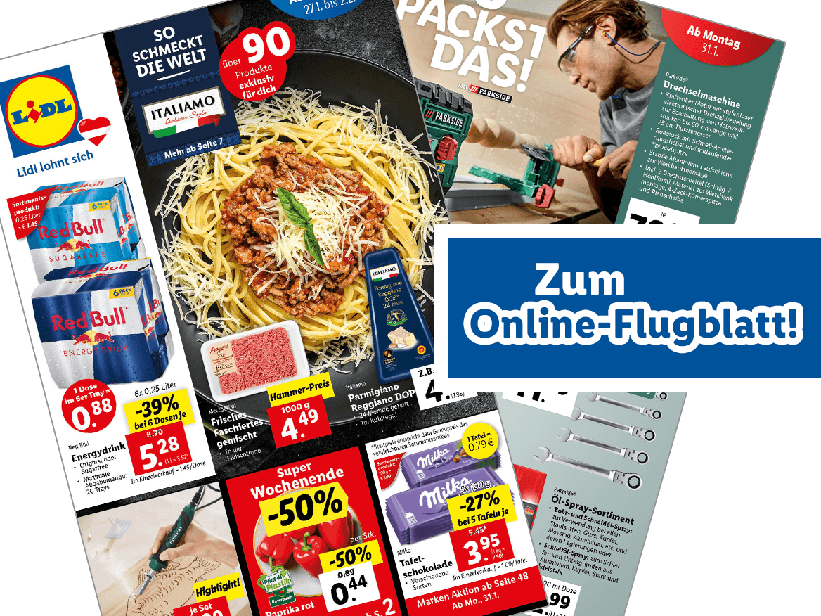 Online-Flugblatt
