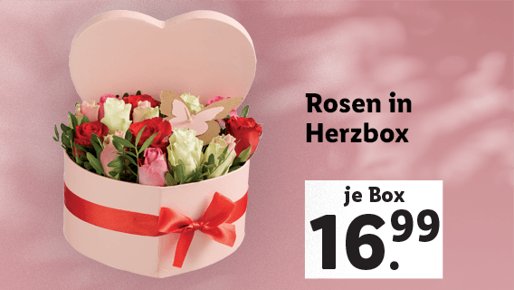  Rosen in Herzbox 