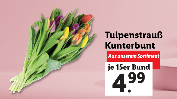  Tulpenstrauß Kunterbunt 