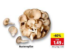 Austernpilze