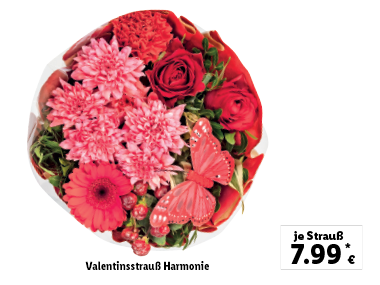 Valentinsstrauß Harmonie