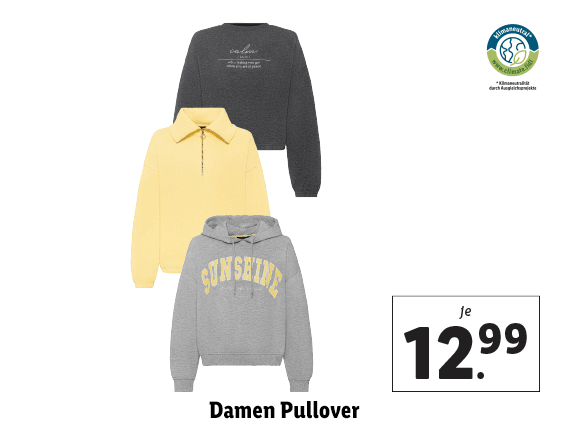 Damen Pullover