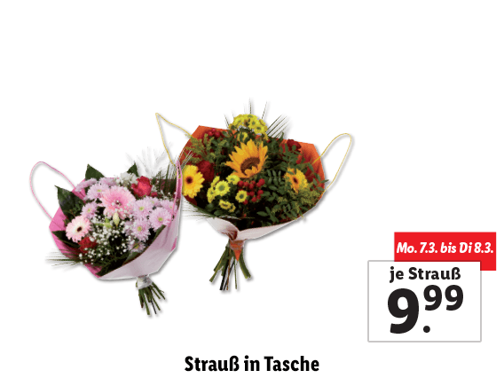  Strauß in Tasche 