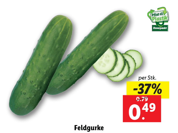 Feldgurke 