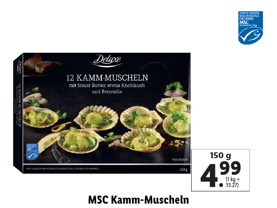 MSC Kamm-Muscheln