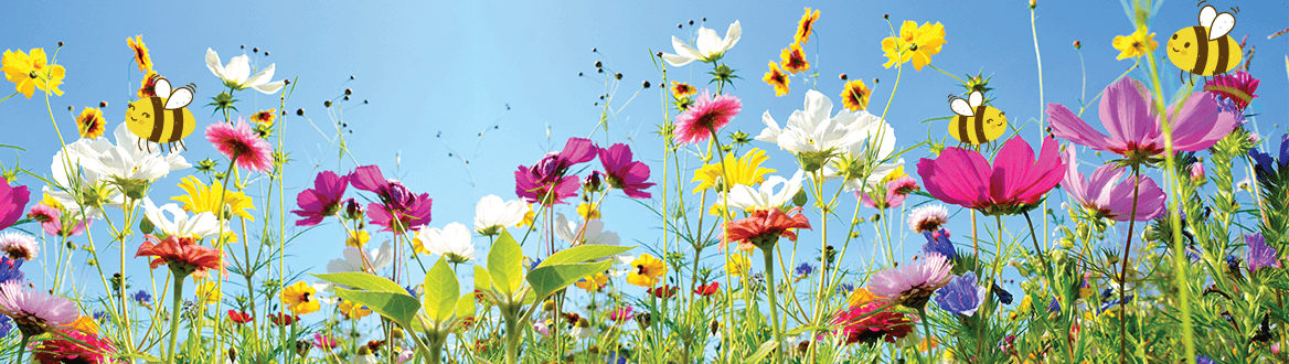 Für deinen Garten