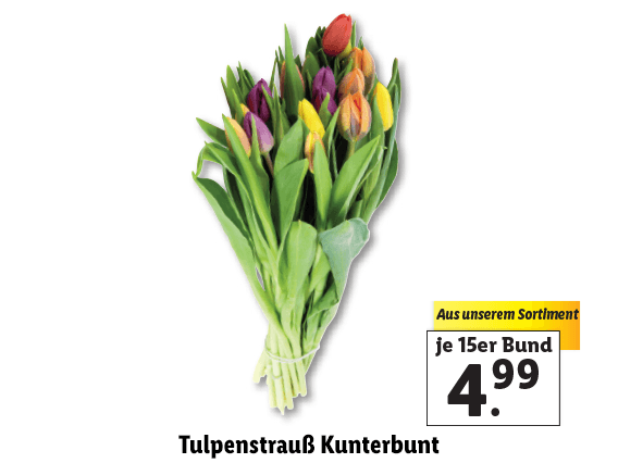 Tulpenstrauß Kunterbunt 