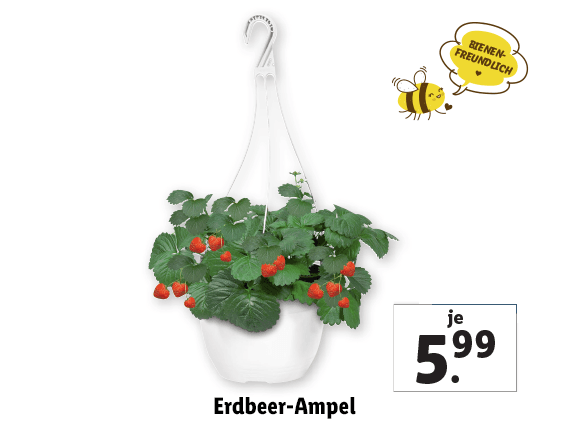 Erdbeer-Ampel 