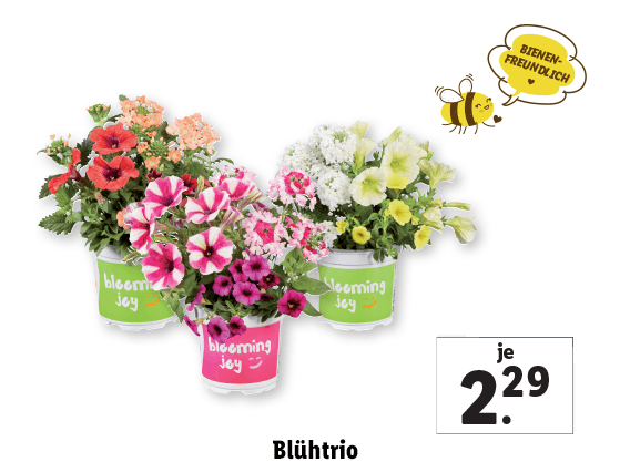 Blühtrio 
