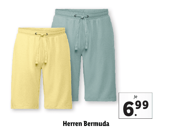 Herren Bermuda