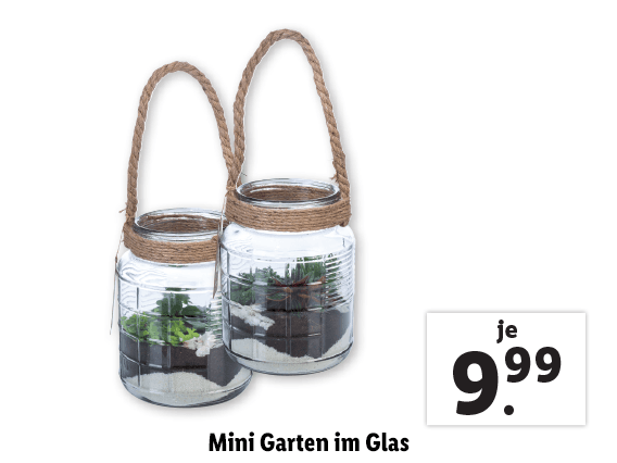 Mini Garten im Glas 