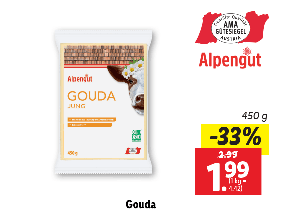 Gouda