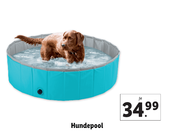 Hundepool 