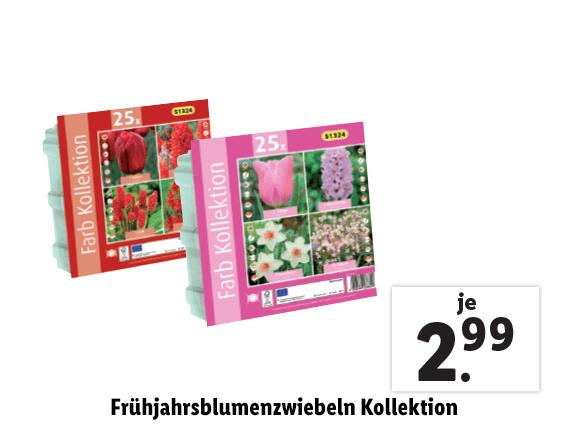 Frühjahrsblumenzwiebeln Kollektion 
